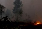 Karhutla di OKU Malam Ini Bikin Warga Sekitar Panik